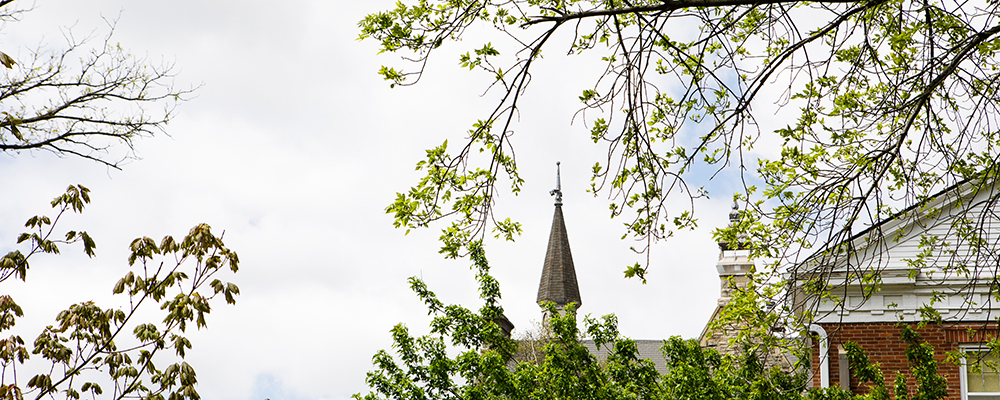 Cornell's scenic campus is home to many gap year students. 