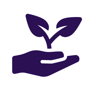Environmental-icon.png