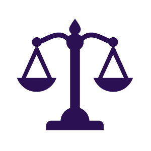 Gov-law-pol-icon.png