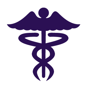 hlth-wellness-icon.png