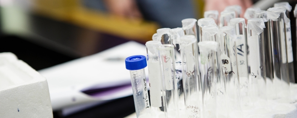 Test tubes in a Cornell lab. 