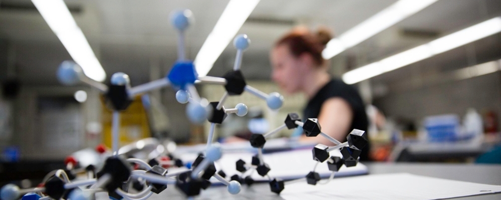 Cornell student working on research in the lab. 