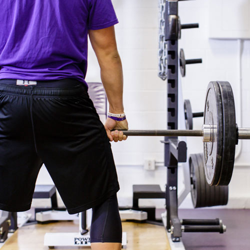 Individual lifting weights