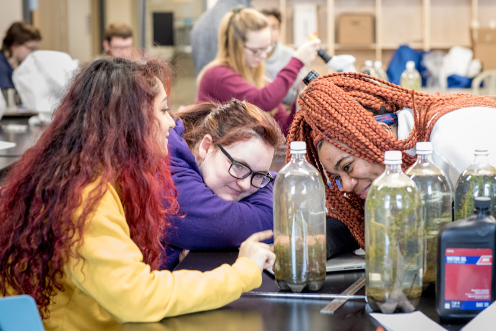 Biology class on a field trip