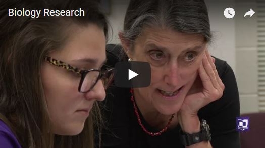 Cornell research