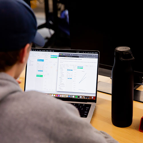 Student working on data visualization on a laptop