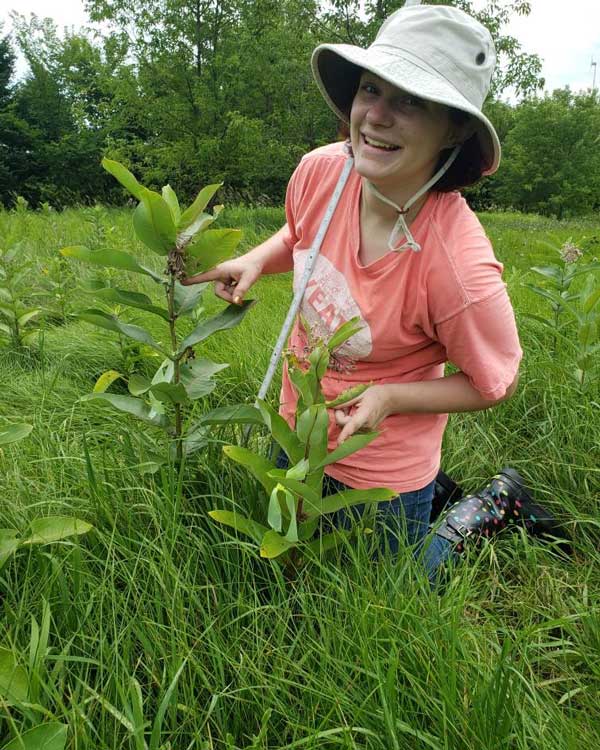 Cornell College student works on a research project on monarch butterflies