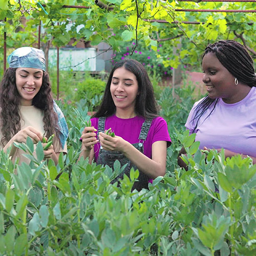 Three young women working in a community garden
