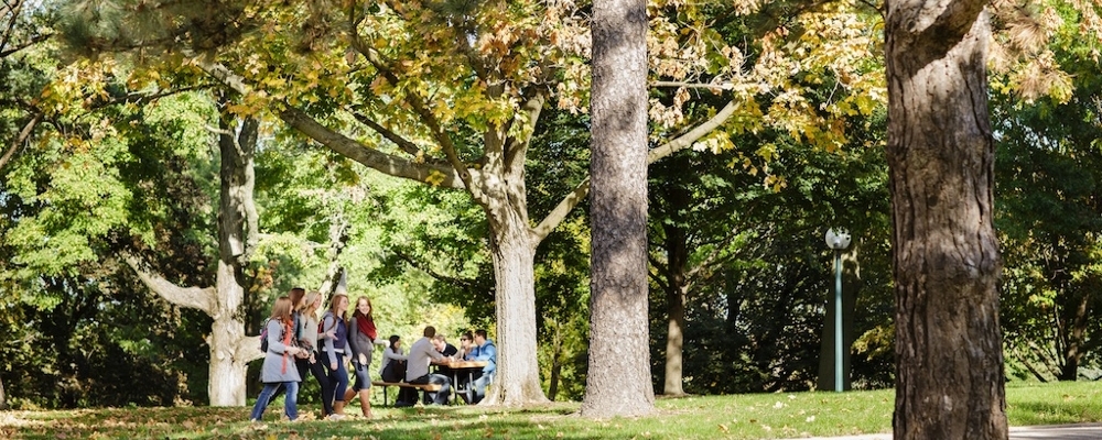 Cornell students walking across the park-like campus on the Hilltop. 