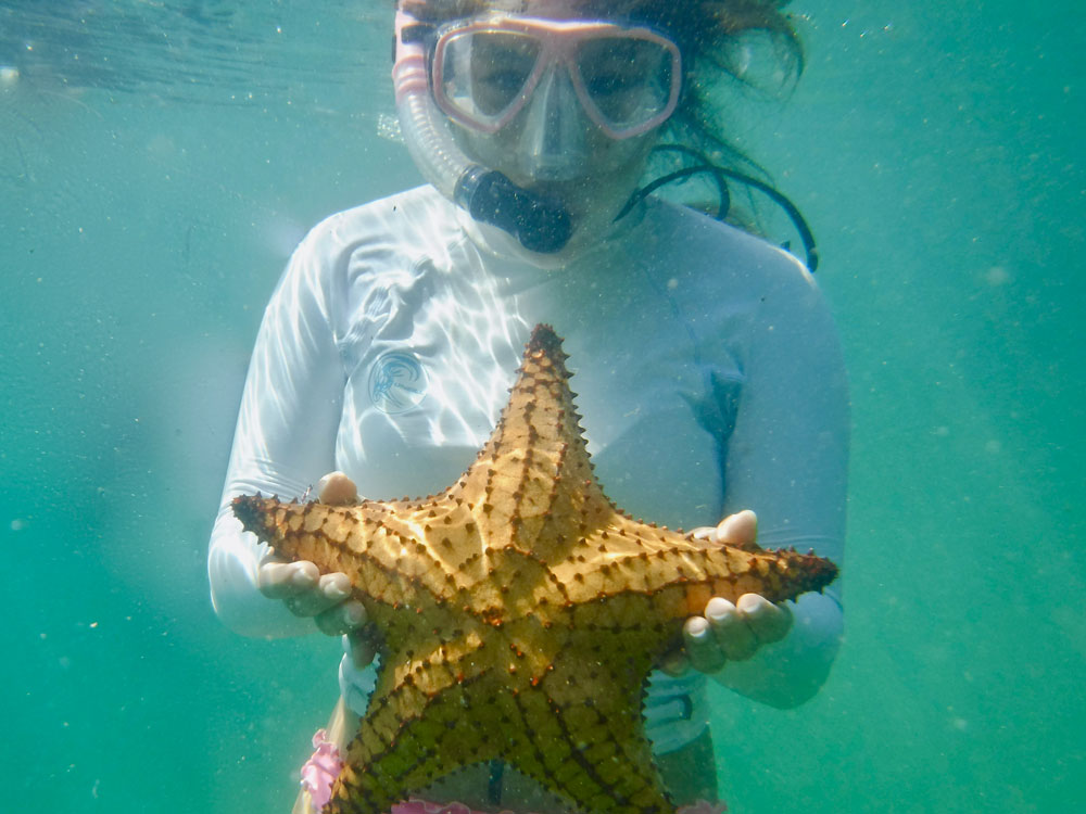 Cornell student snorkeling during an off-campus studies course