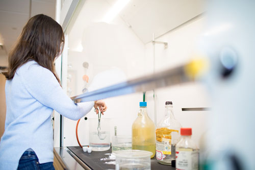 Cornell College student works in the chemistry lab