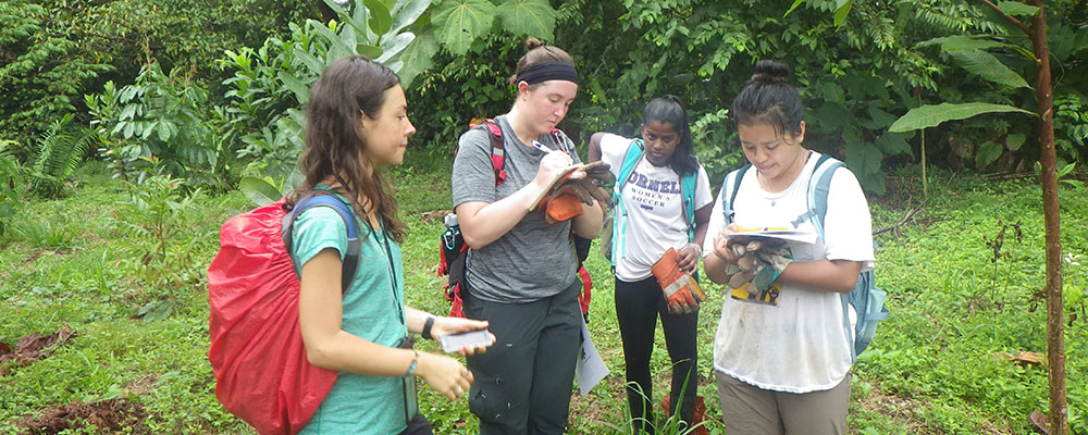 Department of Latin American Studies | Cornell College