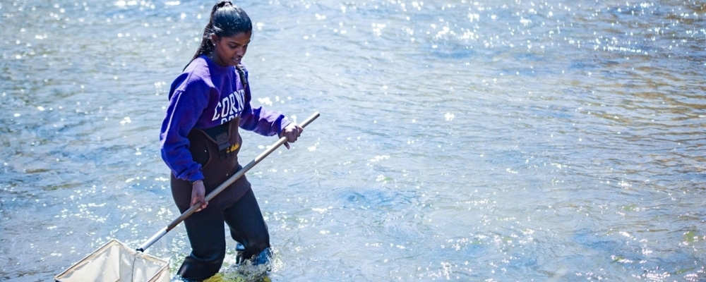 one course at a time cornell college colleges with block schedules