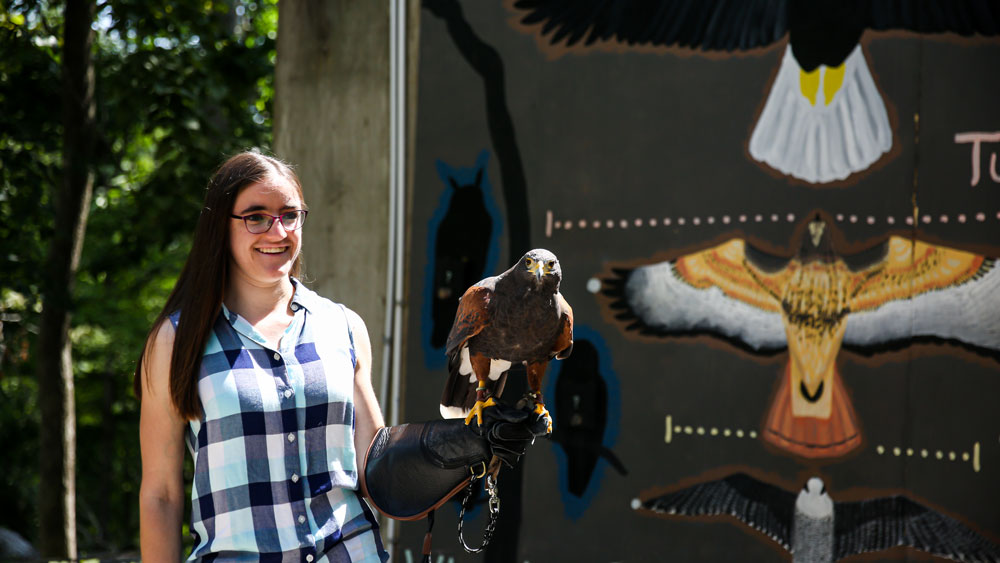 Cornell student works at an internship for an 18 day block.