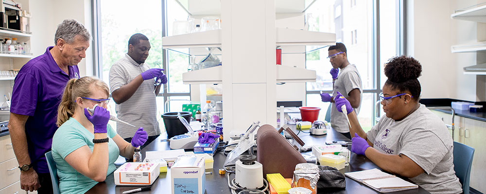 CSRI biology research with Professor Tepper and students. 
