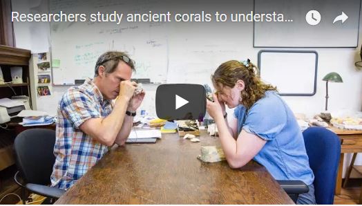 ancient corals research