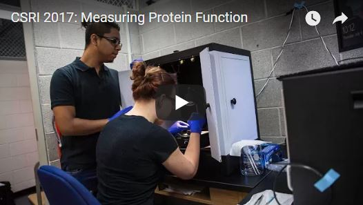 protein research