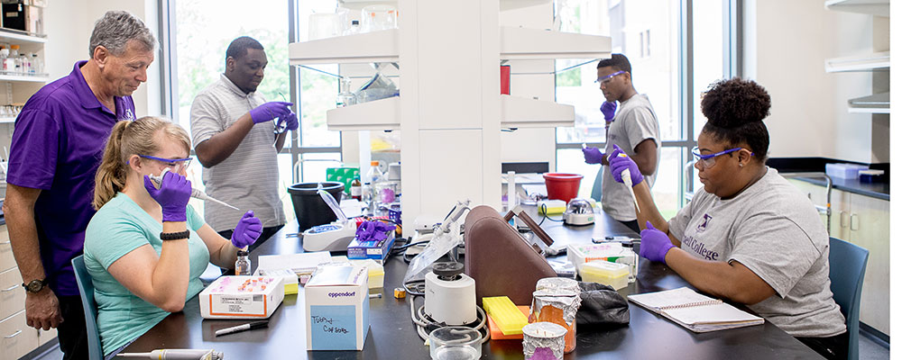 students work in the lab