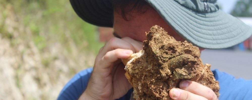 Professor Denniston examines a rock.
