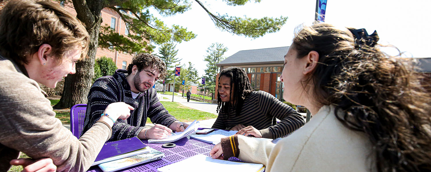 Students on campus studying together.